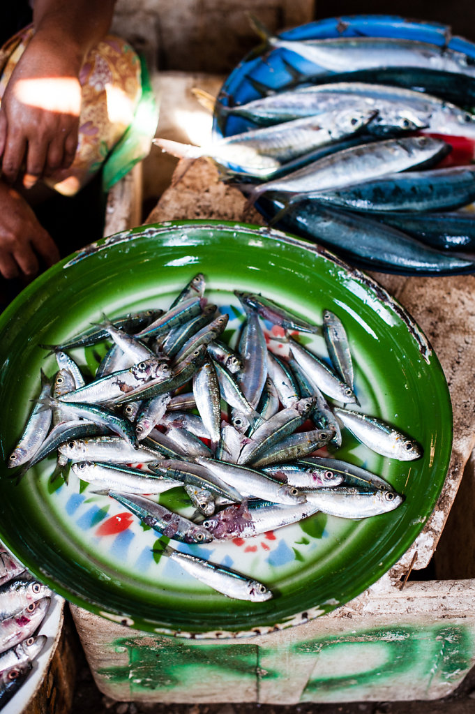 Fish Market / Indonesia