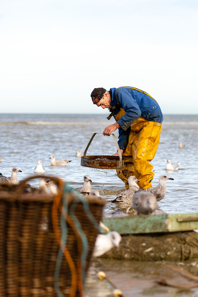 Paardenvisserij Fishers / Belgium