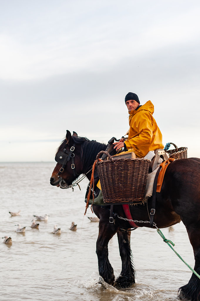 Paardenvisserij Fishers / Belgium